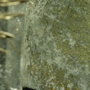 Bilder The Legend of the Palme d'Or