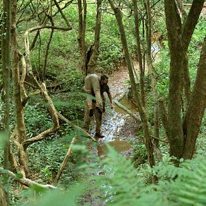 Bilder La Tierra Roja