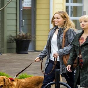 Bilder My Boyfriends' Dogs