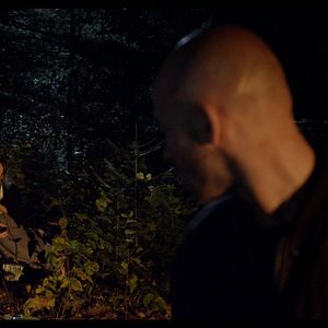 Bilder Wilde Hunde - Rabid Dogs