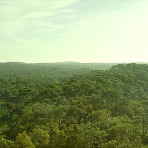 Bilder Liebe auf den ersten Schlag