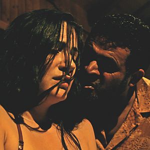 Bilder Hidden in the Woods