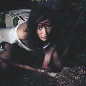 Bilder Hidden in the Woods