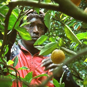 Bilder Koudous Seihon