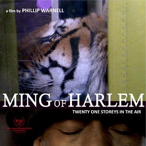 Bilder Ming of Harlem: Twenty One Storeys in the Air