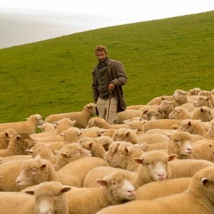 Bilder Matthias Schoenaerts