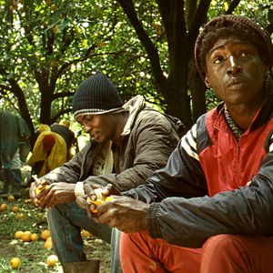 Bilder Mediterranea - Refugees welcome?