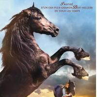 Bilder Black Beauty - Die Neuverfilmung