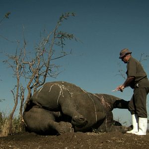 Bilder Der letzte Raubzug