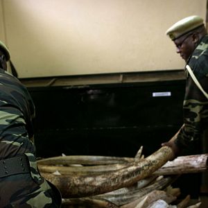 Bilder Der letzte Raubzug