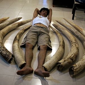 Bilder Der letzte Raubzug