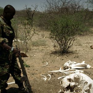 Bilder Der letzte Raubzug