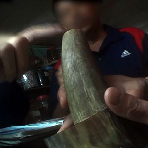 Bilder Der letzte Raubzug