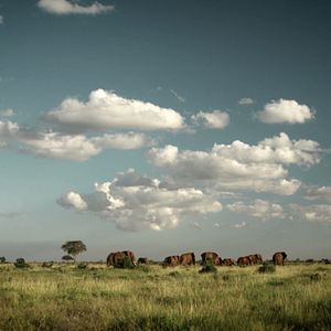 Bilder Der letzte Raubzug