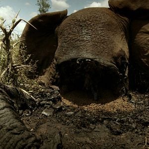 Bilder Der letzte Raubzug