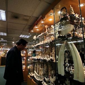 Bilder Der letzte Raubzug