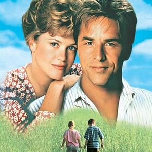 Bilder Sommerparadies