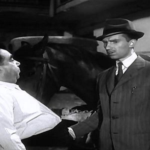 Bilder El último caballo