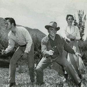 Bilder Im Schatten des Galgens