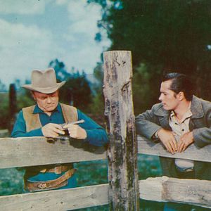 Bilder Im Schatten des Galgens