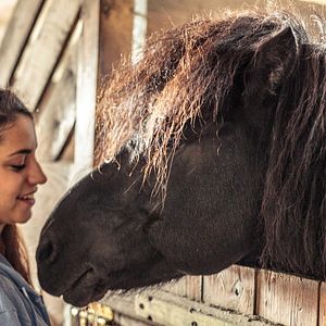 Bilder Almila Bağrıaçık