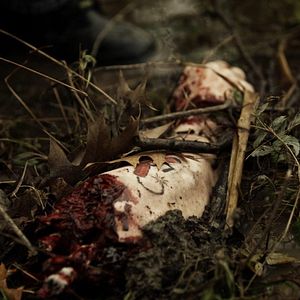 Bilder Jurassic Predator