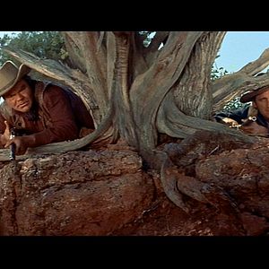 Bilder Der letzte Wagen