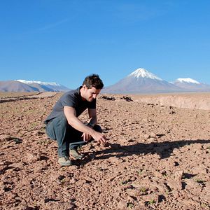 Bilder Romance Policial