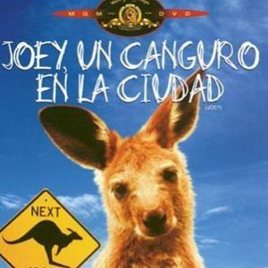 Bilder Hier kommt Joey