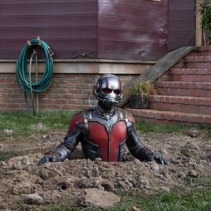 Bilder Ant-Man