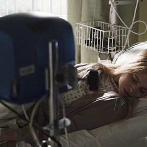 Bilder Drew Davis (III)