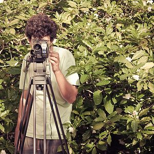 Bilder Animal Político