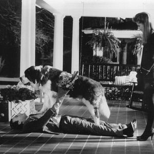 Bilder Mr. Destiny - Voll Daneben