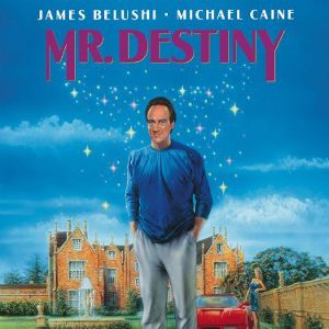Bilder Mr. Destiny - Voll Daneben