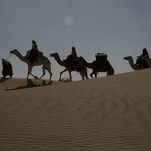 Bilder Königin der Wüste