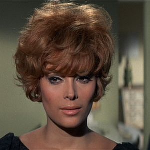 Bilder Der Schnüffler