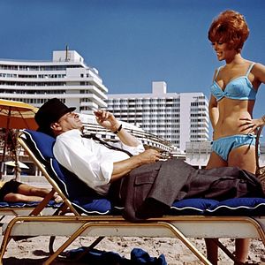 Bilder Der Schnüffler