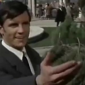 Bilder Tengo 17 años