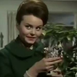 Bilder Tengo 17 años