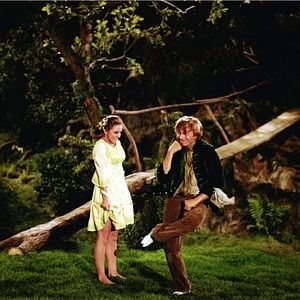 Bilder Der goldene Regenbogen