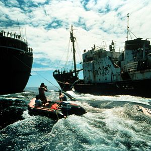 Bilder How To Change The World