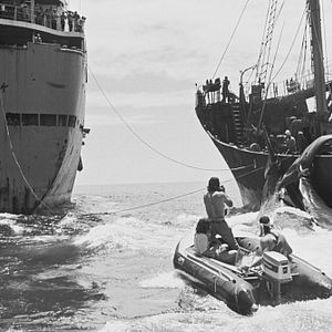 Bilder How To Change The World