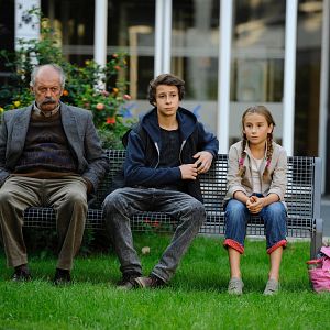 Bilder Von glücklichen Schafen