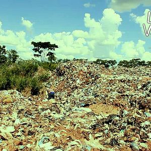 Bilder Latas Vacías