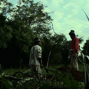 Bilder Latas Vacías