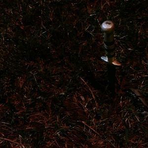 Bilder Latas Vacías