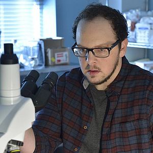 Bilder Austin Basis