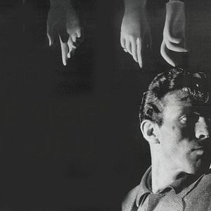 Bilder Der Tiger von New York