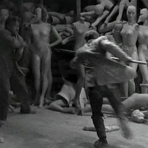 Bilder Der Tiger von New York