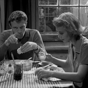 Bilder Der Tiger von New York